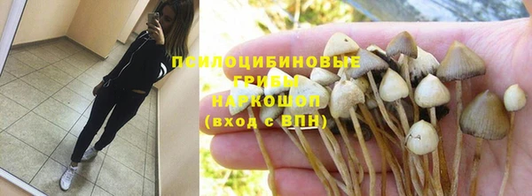 стафф Армянск