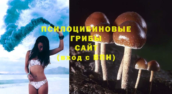 стафф Армянск